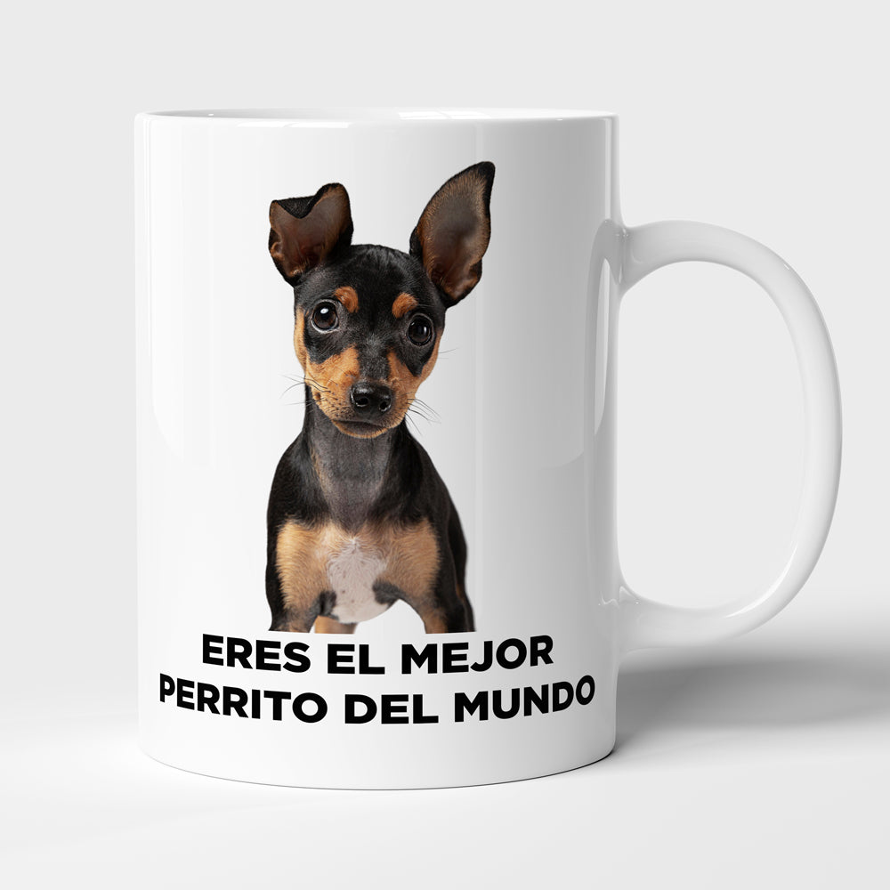 Taza con frase mod. 2