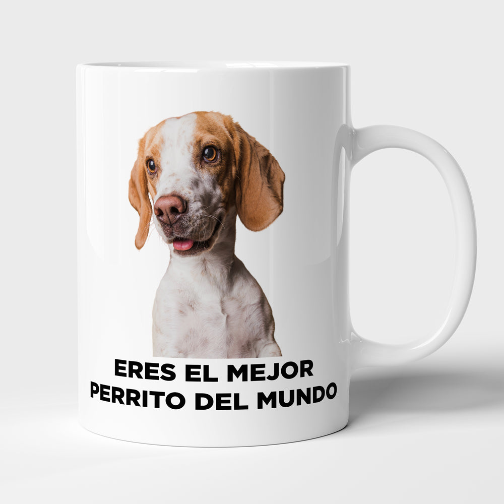 Taza con frase mod. 2