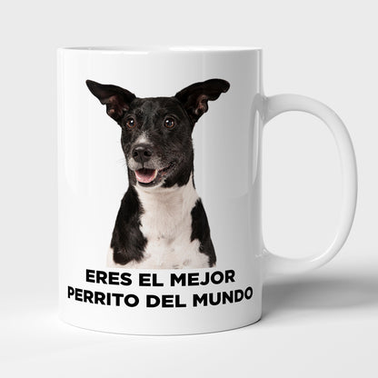 Taza con frase mod. 2