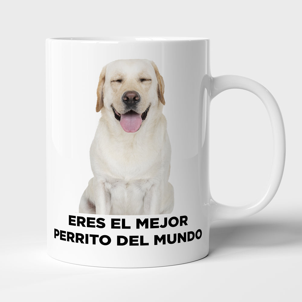 Taza con frase mod. 2