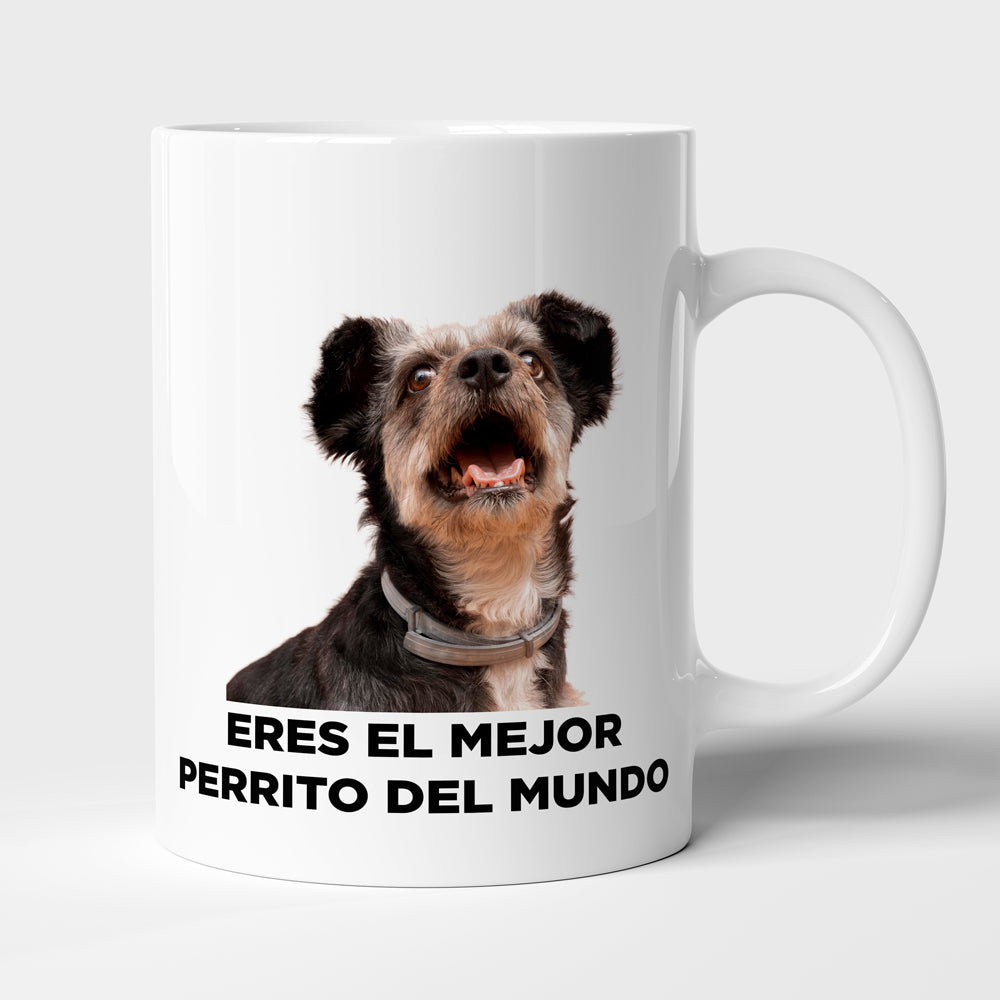 Taza con frase mod. 2