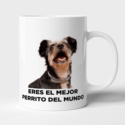 Taza con frase mod. 2
