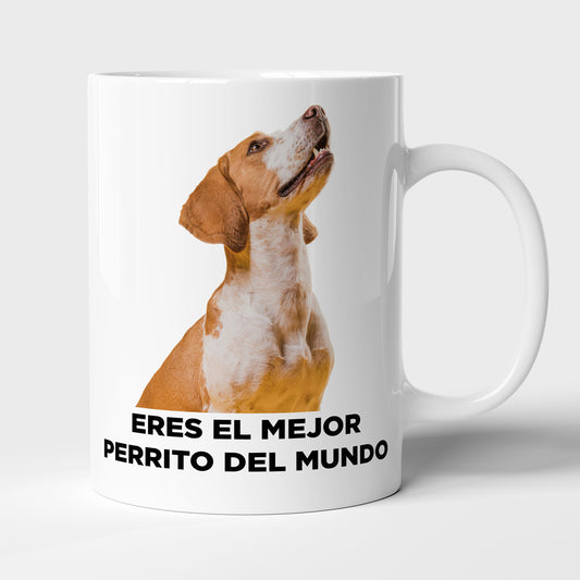 Taza con frase mod. 2