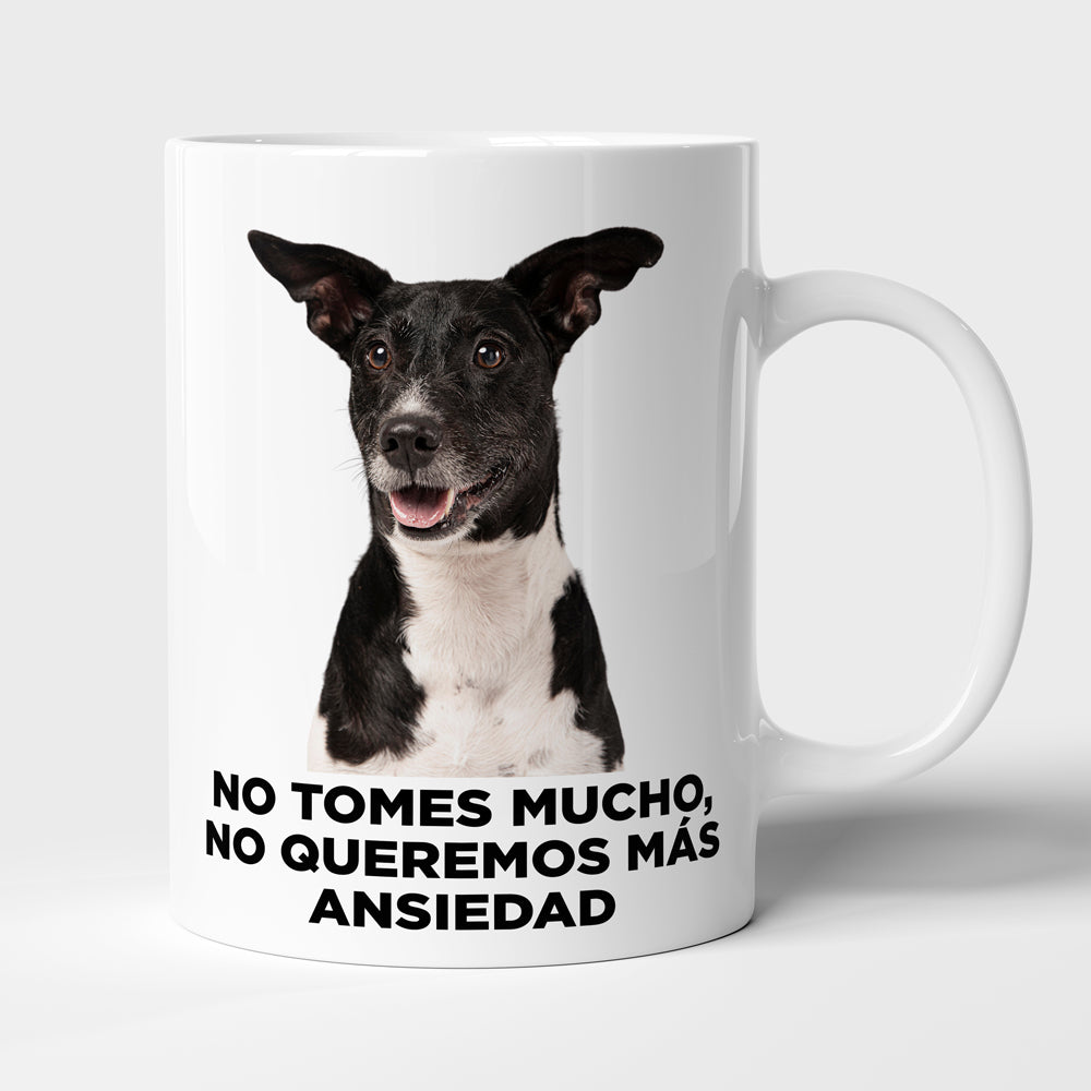 Taza con frase mod. 4