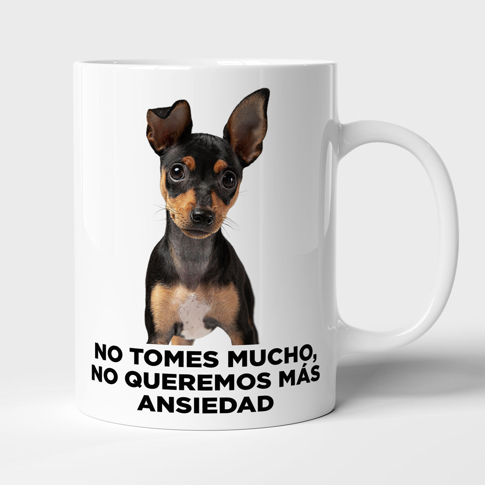 Taza con frase mod. 4