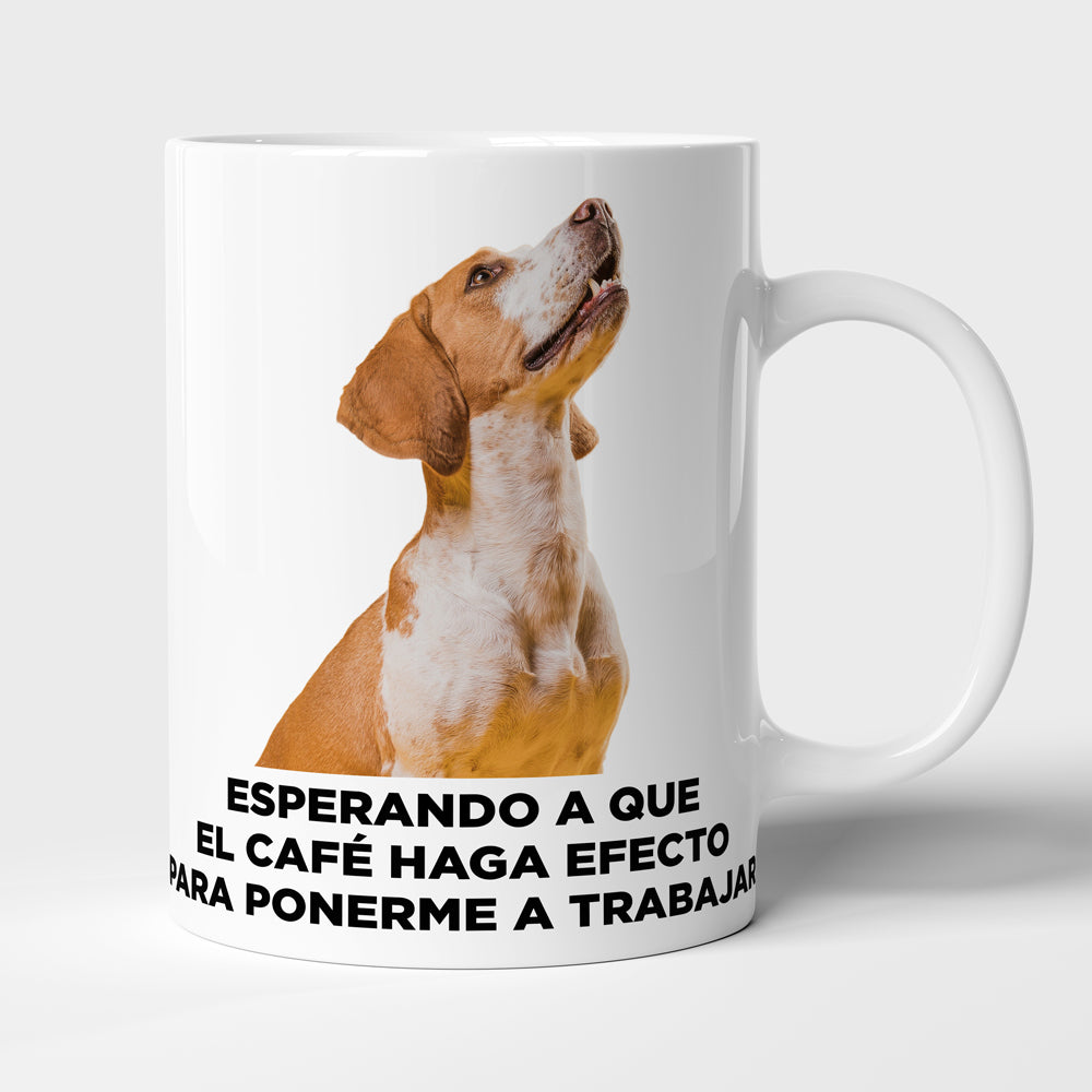 Taza con frase mod. 5