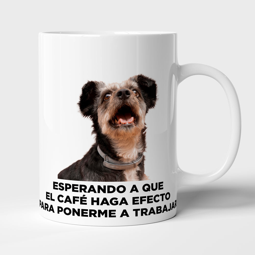 Taza con frase mod. 5