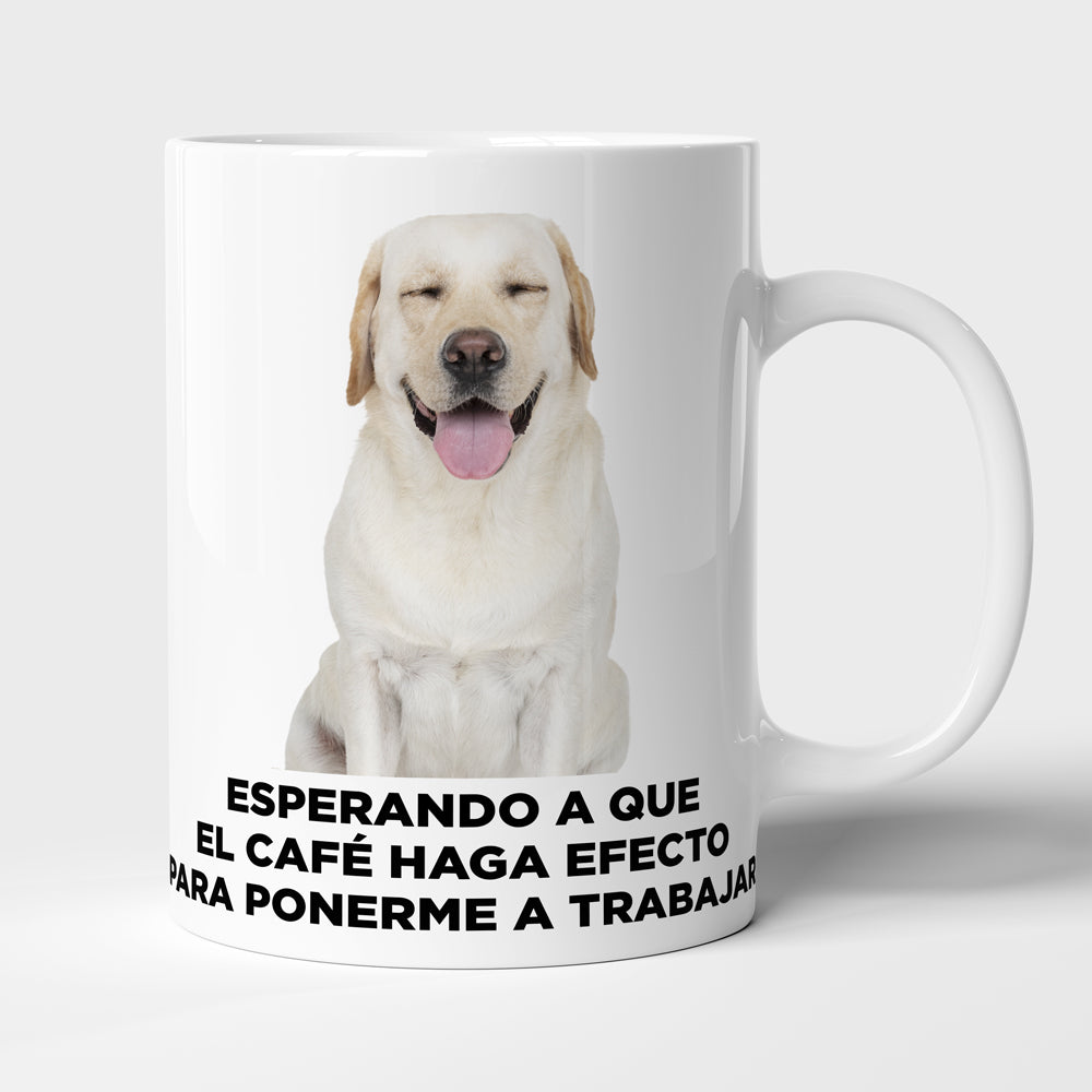 Taza con frase mod. 5