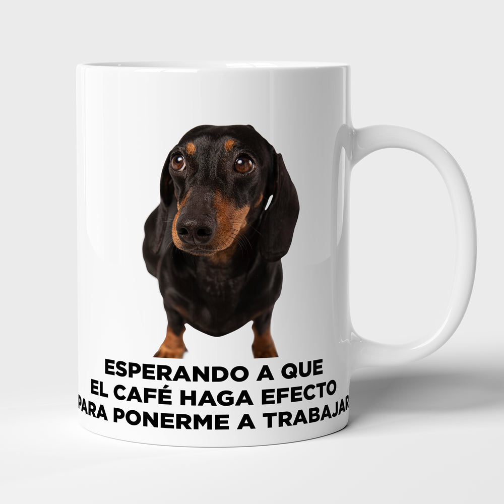 Taza con frase mod. 5