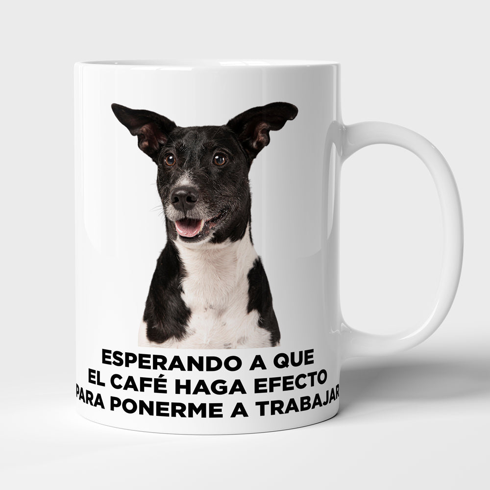 Taza con frase mod. 5