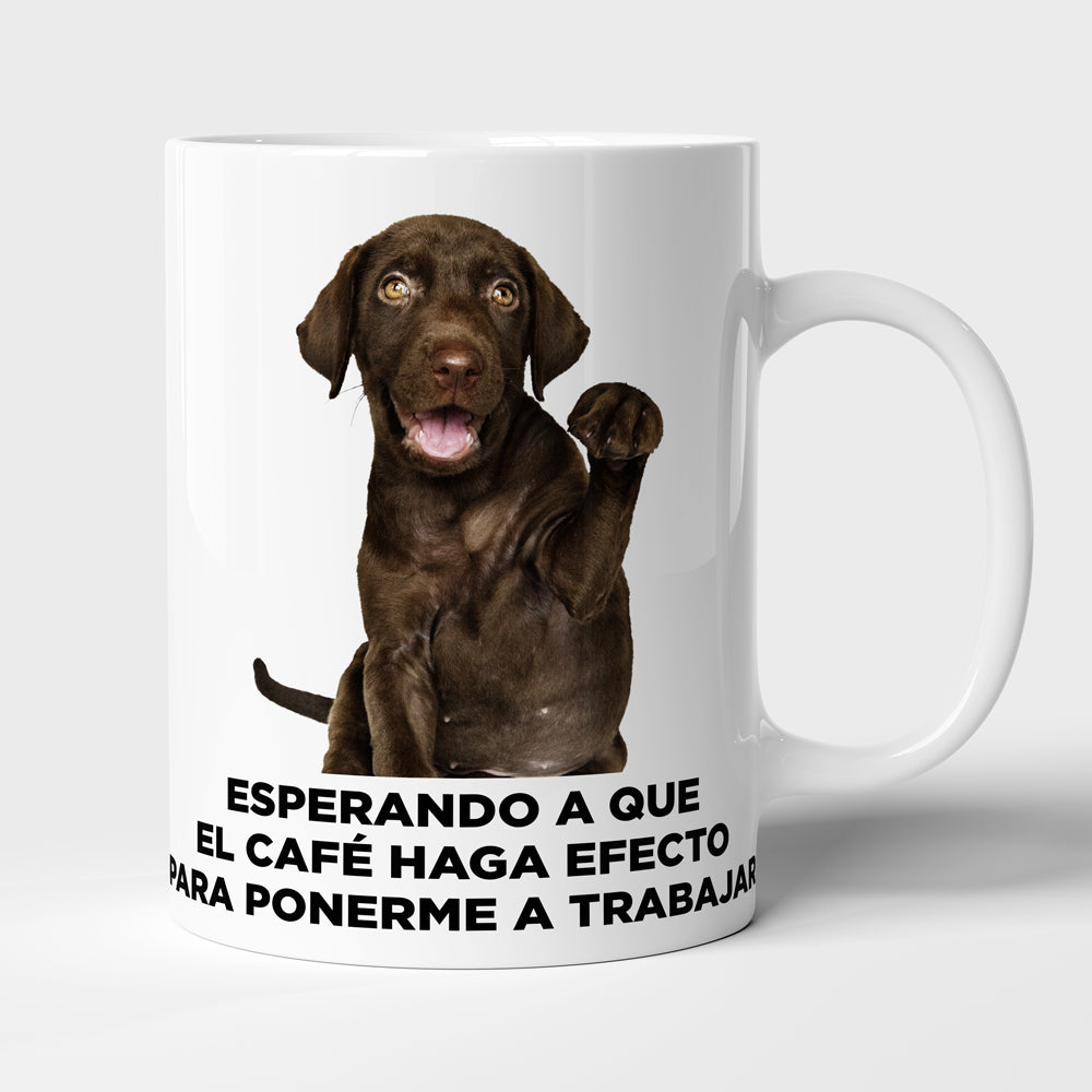 Taza con frase mod. 5