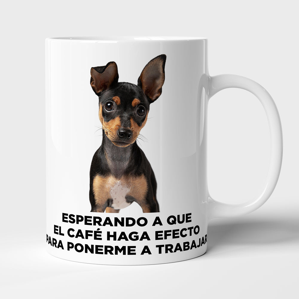 Taza con frase mod. 5